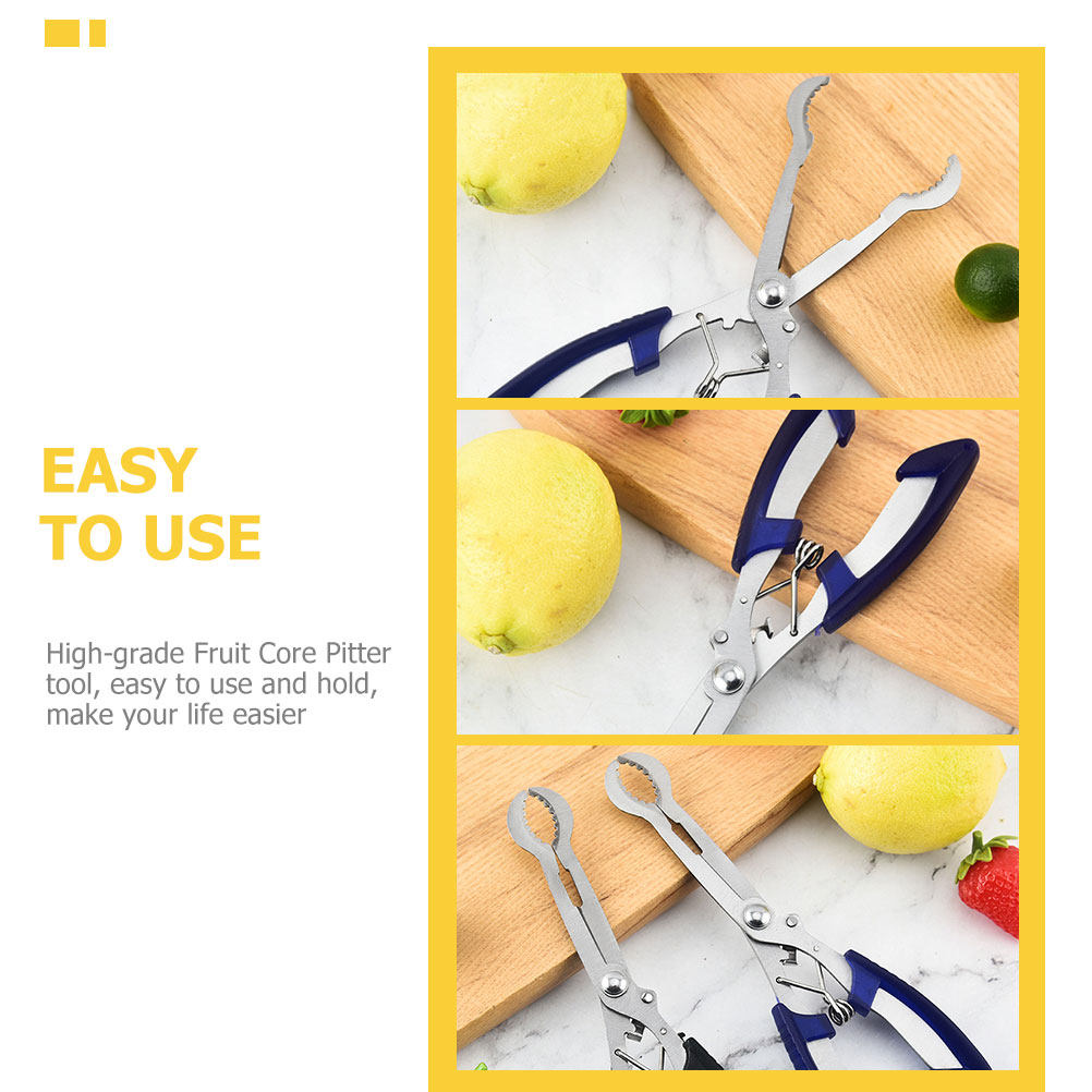 Paslanmaz Çelik Alıç Çekirdeği - Kitchen Gadgets Kitchen incelemesi ve fiyatı